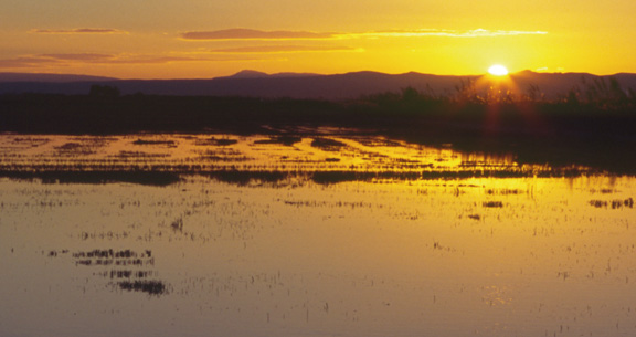 Parque Natural de la Albufera.