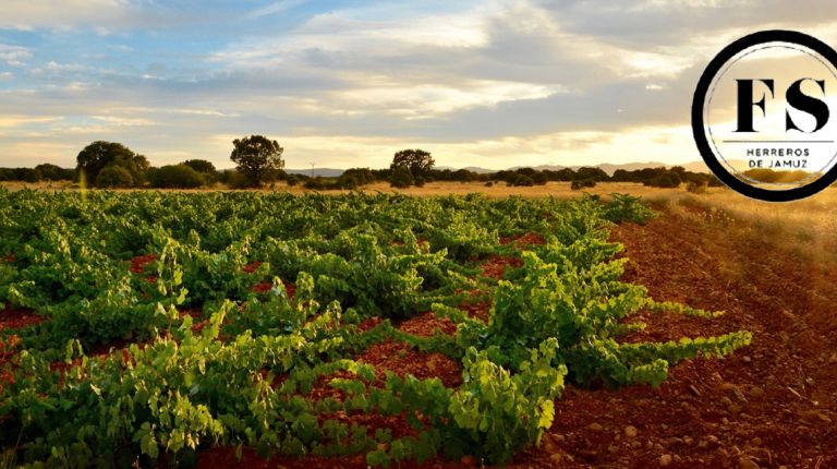 Fuentes del Silencio, la recuperación vitivinícola del Jamuz