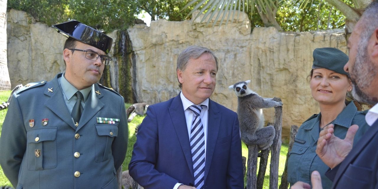  BIOPARC Valencia acoge un Lémur Catta incautado por la Guardia Civil