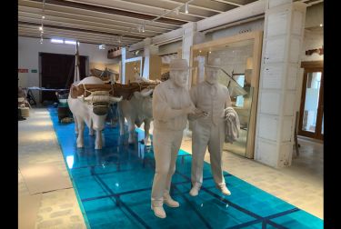 València abrirá el Museu de la Mar el próximo 15 de septiembre  