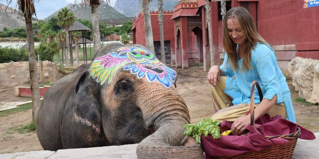  Terra Natura Benidorm conmemora el 46º cumpleaños de la elefanta Petita con una gran batalla de colores holi