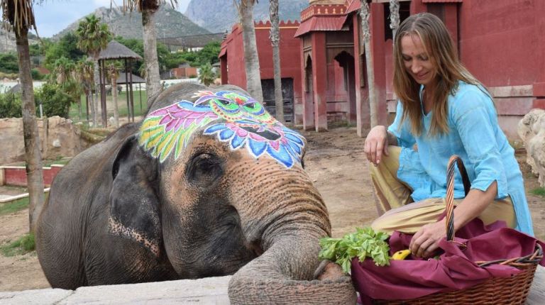 Terra Natura Benidorm conmemora el 46º cumpleaños de la elefanta Petita con una gran batalla de colores holi