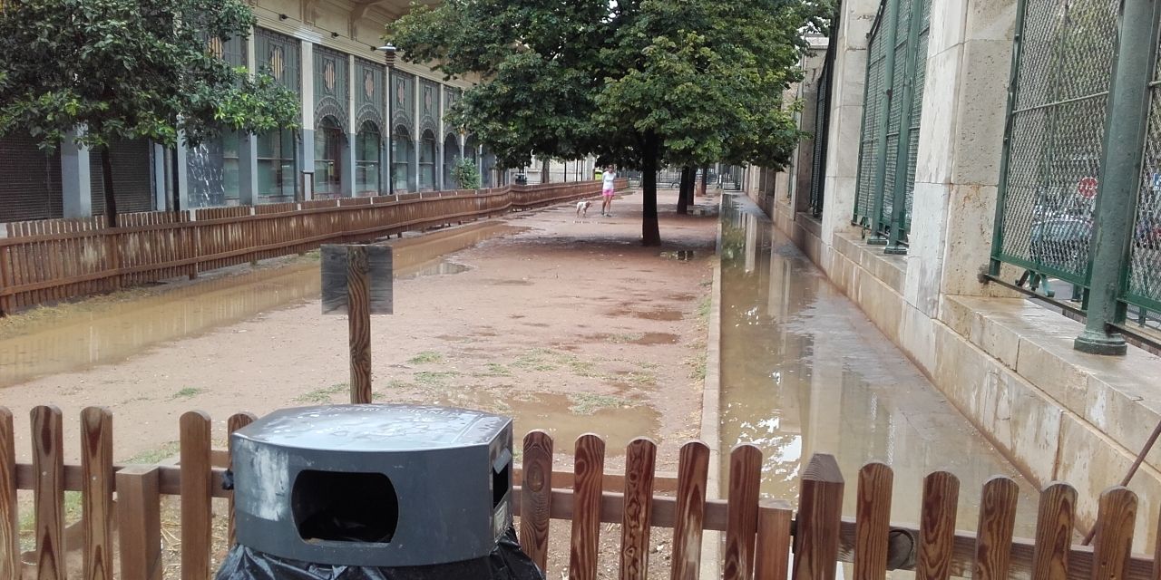  EL AYUNTAMIENTO INICIA LA REMODELACIÓN DE LA ZONA DE ESPARCIMIENTO PARA PERROS DE ABASTOS Y PONE ORDEN EN LAS COMPETENCIAS MUNICIPALES