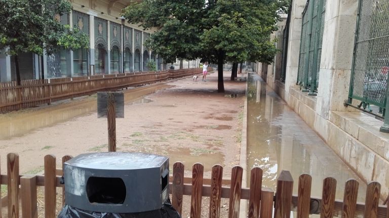 EL AYUNTAMIENTO INICIA LA REMODELACIÓN DE LA ZONA DE ESPARCIMIENTO PARA PERROS DE ABASTOS Y PONE ORDEN EN LAS COMPETENCIAS MUNICIPALES