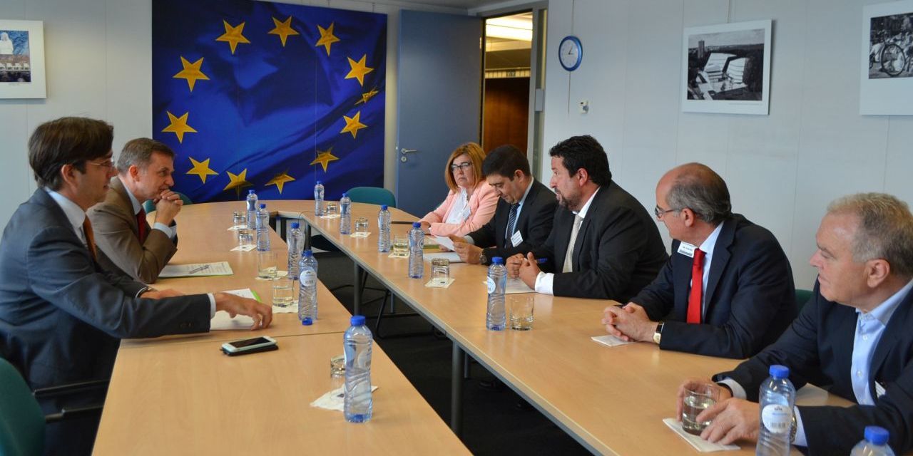 Moliner lidera una reunión de diputaciones con la UE 