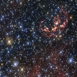  sobreviviente estelar de la explosión de una supernova