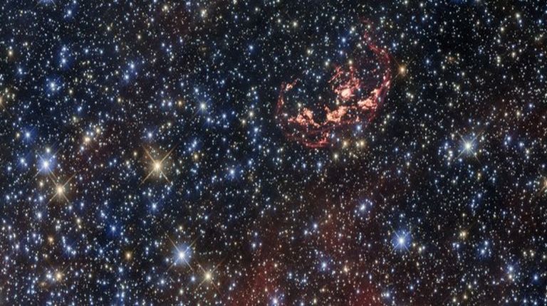 sobreviviente estelar de la explosión de una supernova