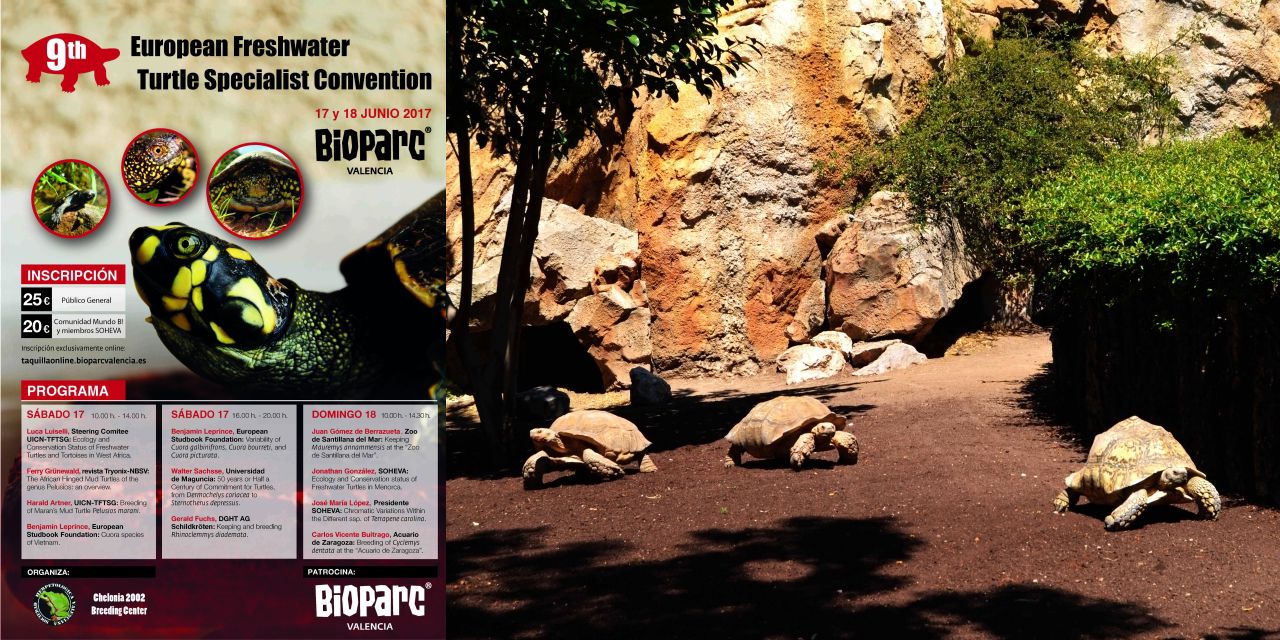  BIOPARC Valencia acogerá este año la 9ª Convención Europea de especialistas en tortugas de agua dulce “9th EFTB”