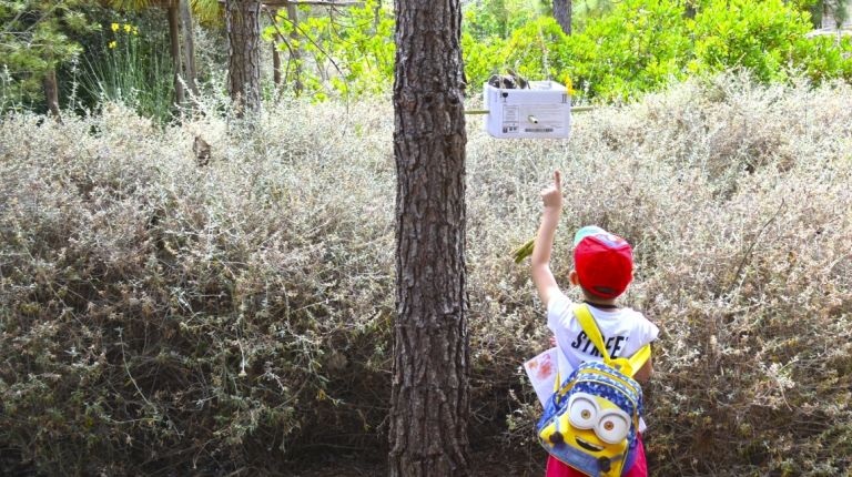 Terra Natura Benidorm habilita casas para insectos para fomentar la biodiversidad en su entorno