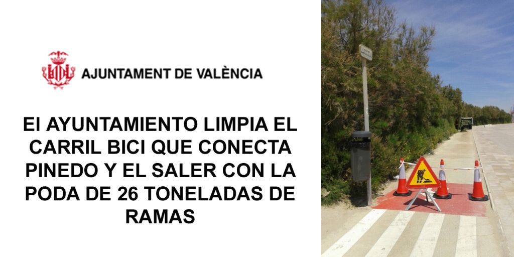  El AYUNTAMIENTO LIMPIA EL CARRIL BICI QUE CONECTA PINEDO Y EL SALER CON LA PODA DE 26 TONELADAS DE RAMAS