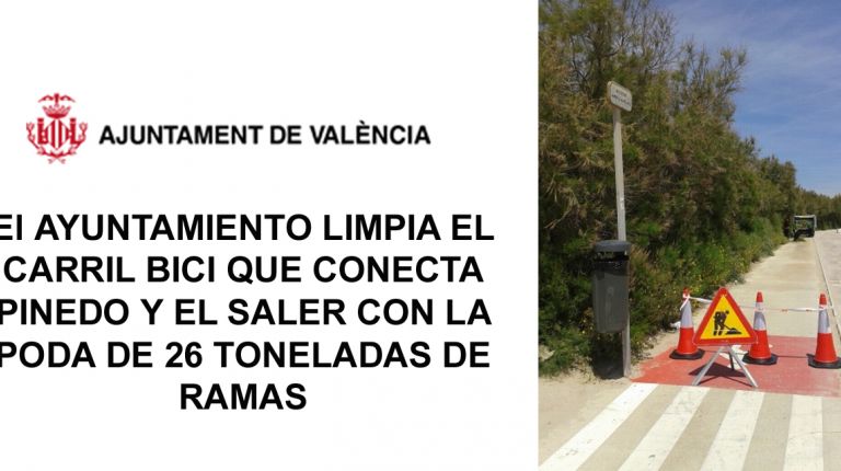 El AYUNTAMIENTO LIMPIA EL CARRIL BICI QUE CONECTA PINEDO Y EL SALER CON LA PODA DE 26 TONELADAS DE RAMAS