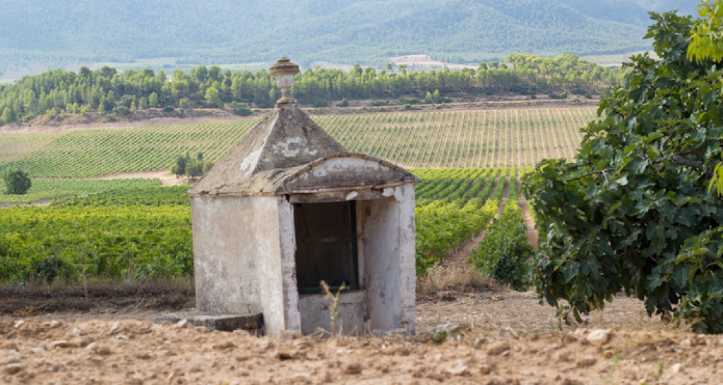  Bodegas Enguera galardonada con oro y plata en el BERLINER WEIN TROPHY.