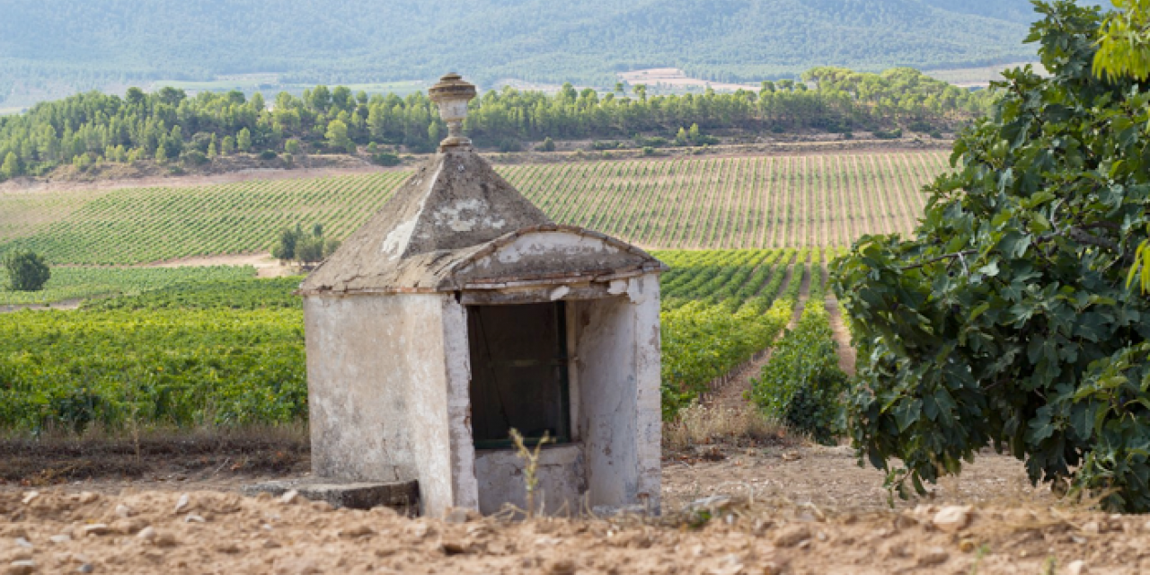  Bodegas Enguera galardonada con oro y plata en el BERLINER WEIN TROPHY.