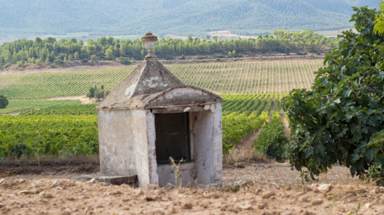 Bodegas Enguera galardonada con oro y plata en el BERLINER WEIN TROPHY.