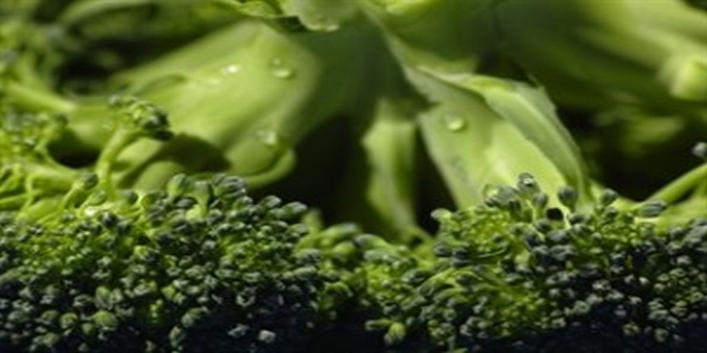  la fibra del brócoli ayuda a prevenir el cáncer de colon