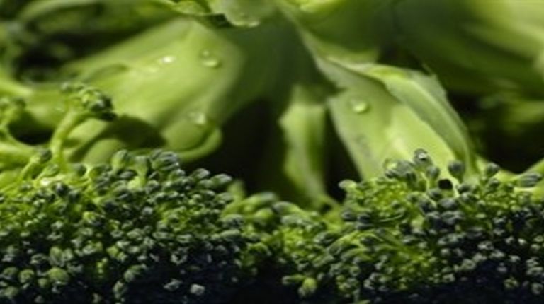 la fibra del brócoli ayuda a prevenir el cáncer de colon