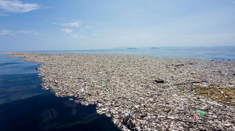 LAS NAVES ACOGE UNA EXPOSICIÓN FOTOGRÁFICA SOBRE EL CAMBIO CLIMÁTICO