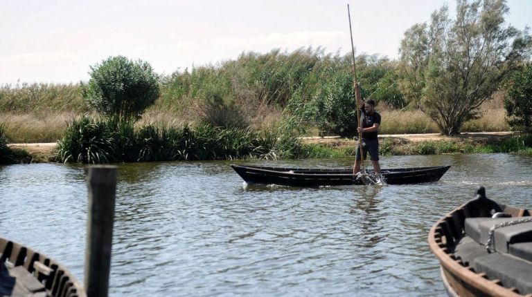 LA D.O. ARROZ DE VALENCIA ORGANIZA ESTE DOMINGO LA VII EDICIÓN DE LA FIESTA DE LA SIEGA