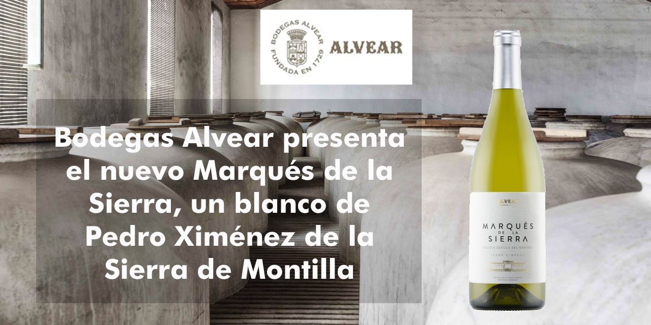  Bodegas Alvear presenta el nuevo Marqués de la Sierra, un blanco de Pedro Ximénez de la Sierra de Montilla