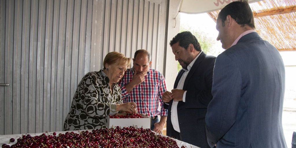  La Diputación impulsa con Castelló Ruta de Sabor el consumo de la cereza autóctona