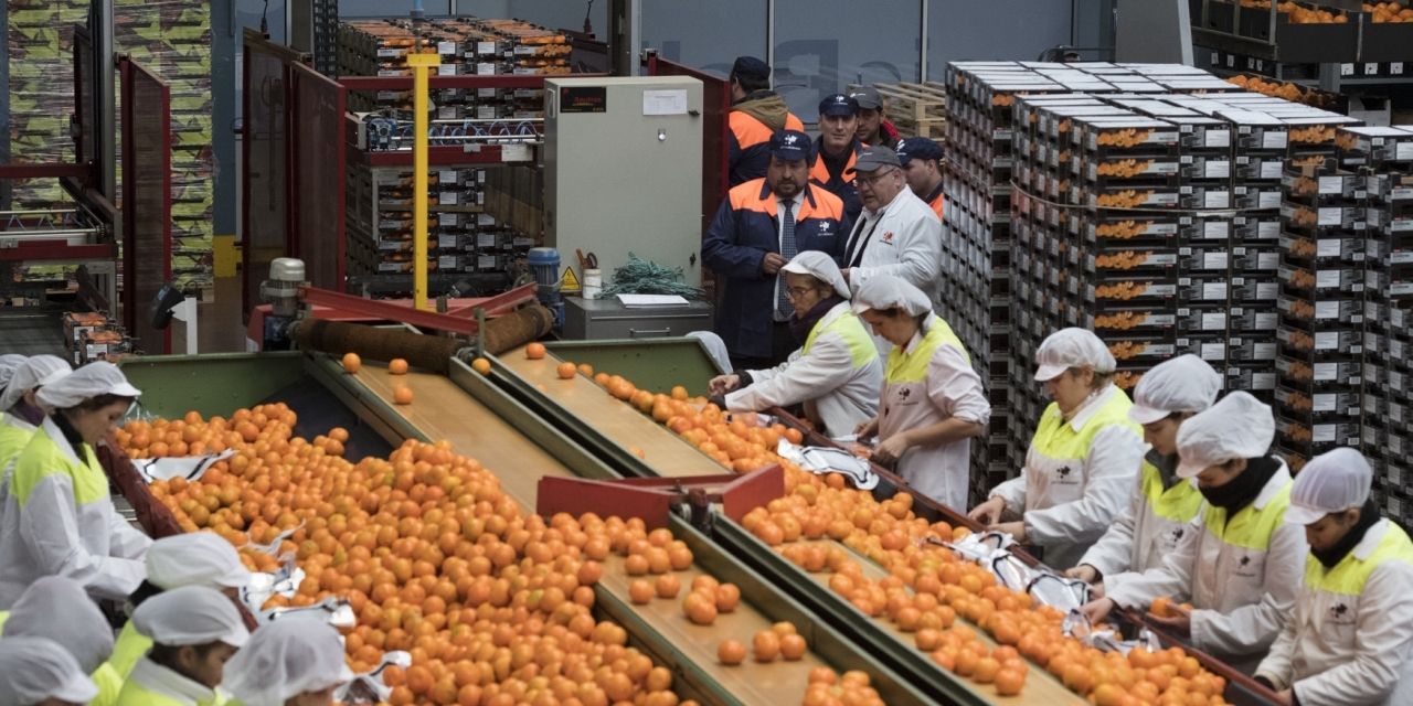  La Diputación de Castellón apoya al sector agropecuario