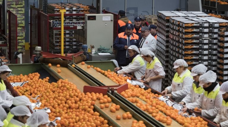 La Diputación de Castellón apoya al sector agropecuario