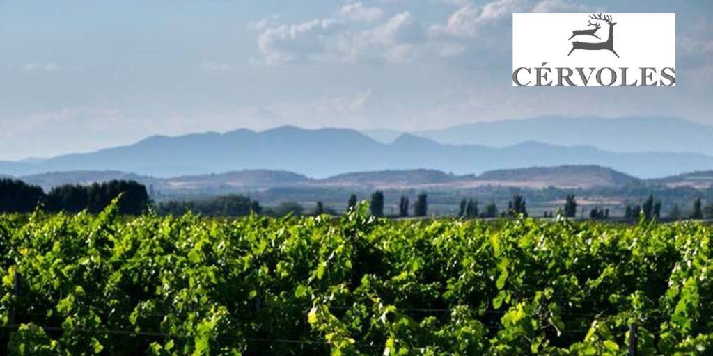  Cérvoles Celler, el primer proyecto de viticultura de montaña de Catalunya, celebra 20 años de historia elaborando vinos de finca de alta calidad