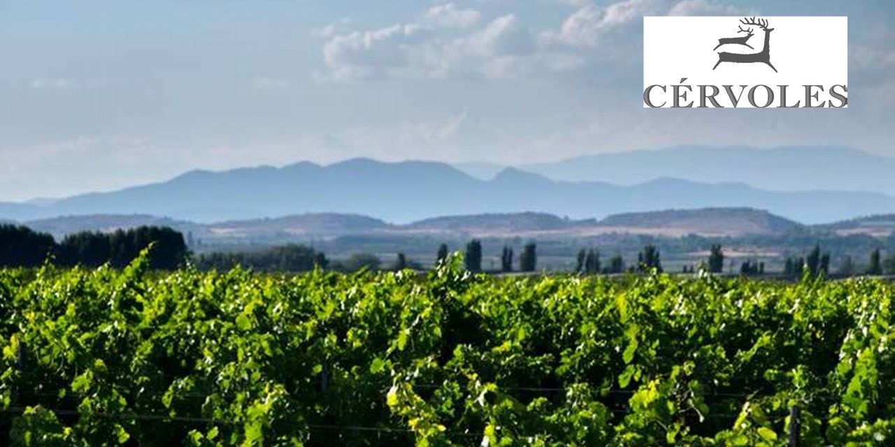  Cérvoles Celler, el primer proyecto de viticultura de montaña de Catalunya, celebra 20 años de historia elaborando vinos de finca de alta calidad