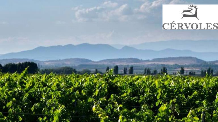 Cérvoles Celler, el primer proyecto de viticultura de montaña de Catalunya, celebra 20 años de historia elaborando vinos de finca de alta calidad