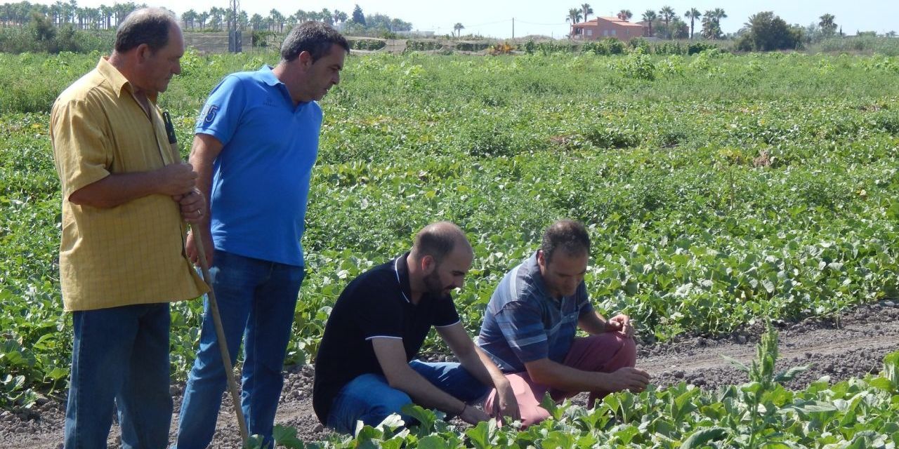  La Diputación de Castellón sumará un centenar de productores para potenciar el producto turístico de ‘Castelló Ruta de Sabor’ 