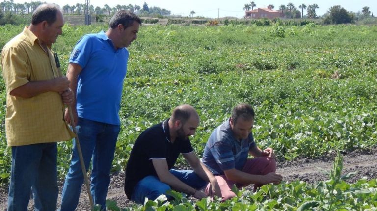 La Diputación de Castellón sumará un centenar de productores para potenciar el producto turístico de ‘Castelló Ruta de Sabor’ 