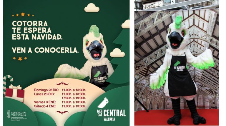 La mascota ‘Cotorra’ visitará el Mercado Central en Navidad para encontrarse con los niños