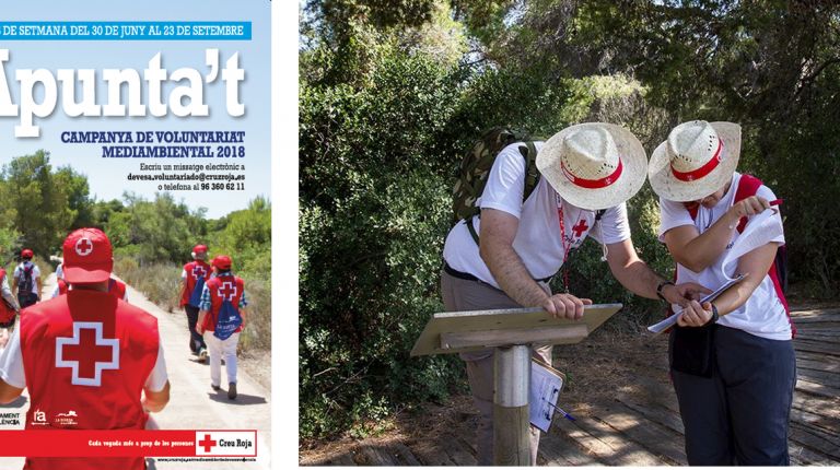 Este mes arranca el Voluntariado Ambiental de Cruz Roja para conservar la Devesa-Albufera