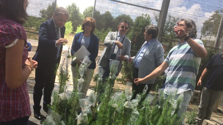 El delegado de Gobierno  y la directora general de Desarrollo Rural y Política Forestal visitan el Centro Nacional de Recursos Genéticos