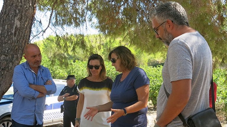 El Museu de Prehistòria retoma las visitas guiadas al yacimiento de la Lloma de Betxí en Paterna 