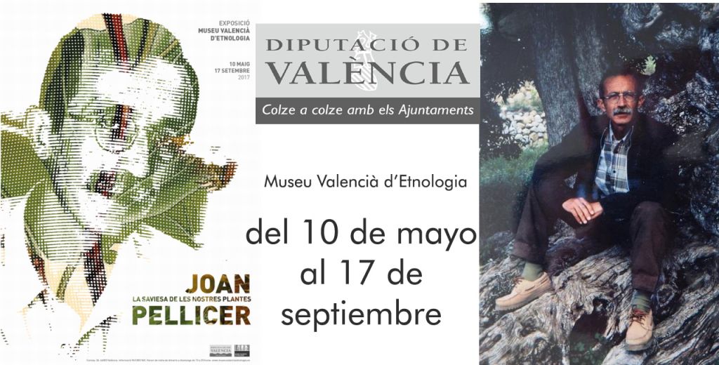  El Museu Valencià d’Etnologia presenta la exposición Joan Pellicer, la saviesa de les nostres plantes