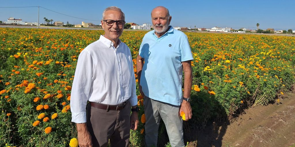  La Batalla de Flores lanzará más de 1,3 millones de clavellons en una contienda que pondrá el punto final a la Feria de Julio 