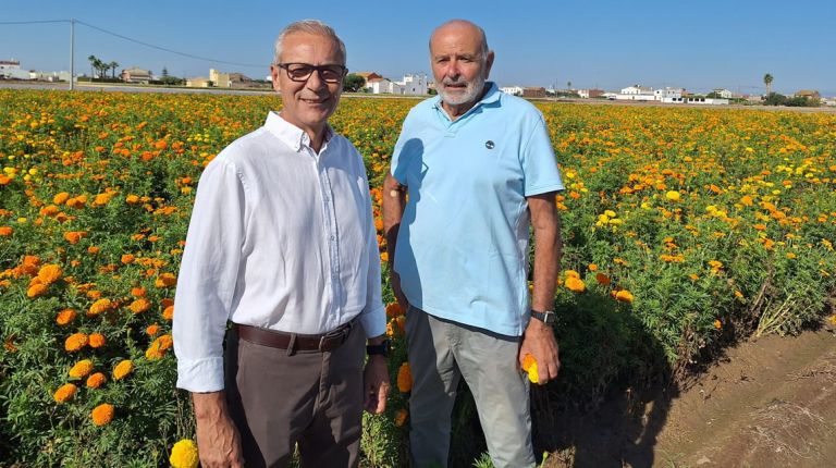La Batalla de Flores lanzará más de 1,3 millones de clavellons en una contienda que pondrá el punto final a la Feria de Julio 
