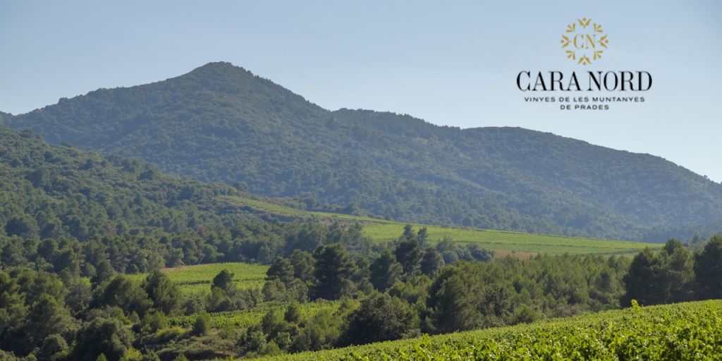  CARA NORD, la consolidación de un proyecto de viticultura en altitud en la Conca de Barberà