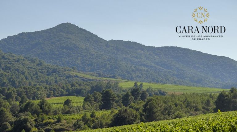 CARA NORD, la consolidación de un proyecto de viticultura en altitud en la Conca de Barberà