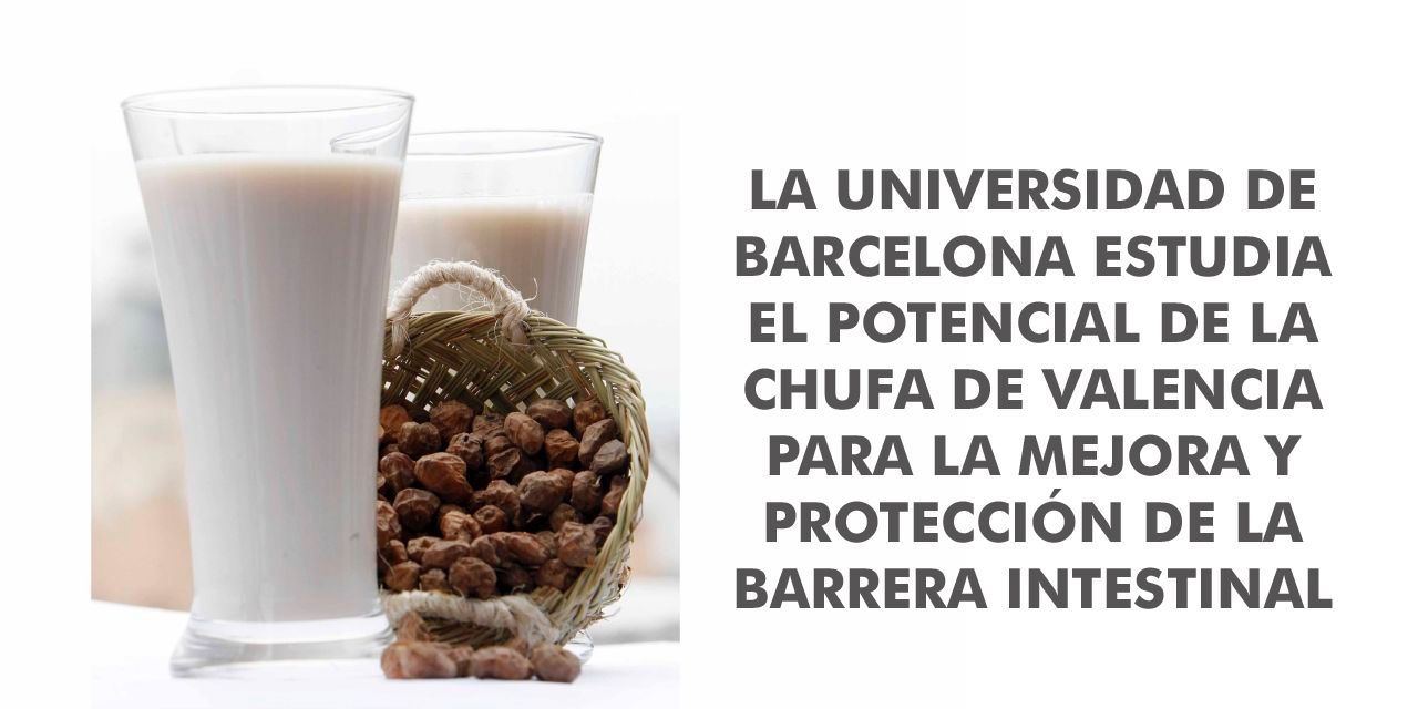  LA UNIVERSIDAD DE BARCELONA ESTUDIA EL POTENCIAL DE LA CHUFA DE VALENCIA PARA LA MEJORA Y PROTECCIÓN DE LA BARRERA INTESTINAL