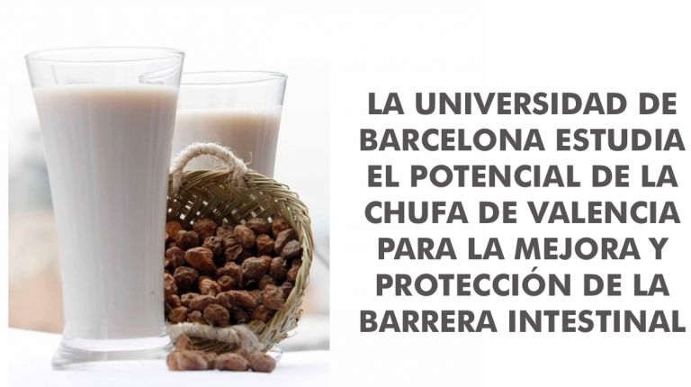 LA UNIVERSIDAD DE BARCELONA ESTUDIA EL POTENCIAL DE LA CHUFA DE VALENCIA PARA LA MEJORA Y PROTECCIÓN DE LA BARRERA INTESTINAL