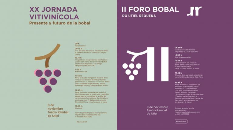 LA XX JORNADA VITIVINÍCOLA Y EL II FORO BOBAL  DO UTIEL-REQUENA SE CELEBRAN EN NOVIEMBRE