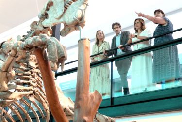 El Museo de Ciencias Naturales remodela su propuesta museográfica y se llamará El Paleontològic 