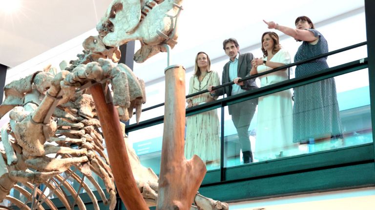 El Museo de Ciencias Naturales remodela su propuesta museográfica y se llamará El Paleontològic 