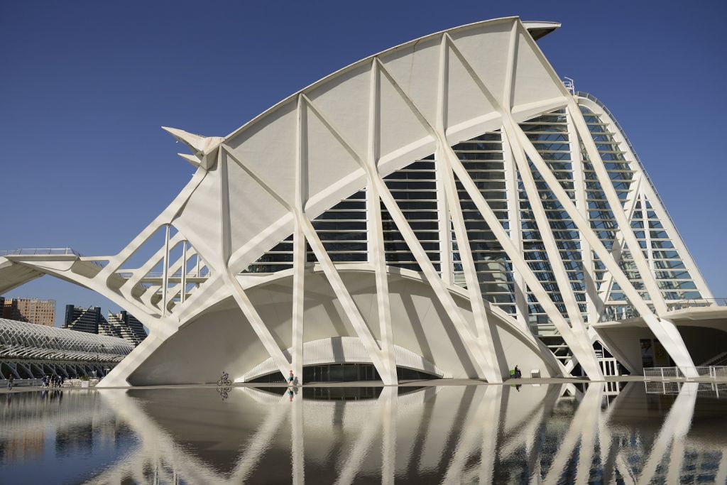  El Museu de les Ciències celebra su 18 aniversario y todas las personas nacidas en el 2000 podrán entrar gratis