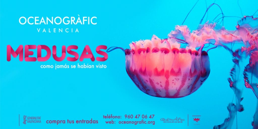  La exposición de medusas más grande de Europa, en Valencia.