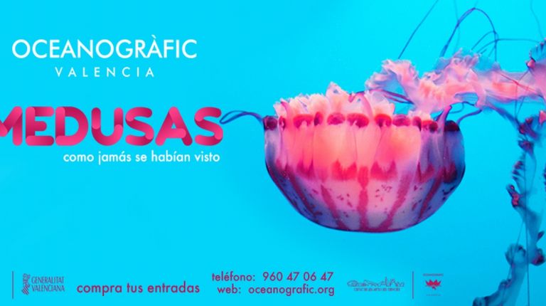 La exposición de medusas más grande de Europa, en Valencia.