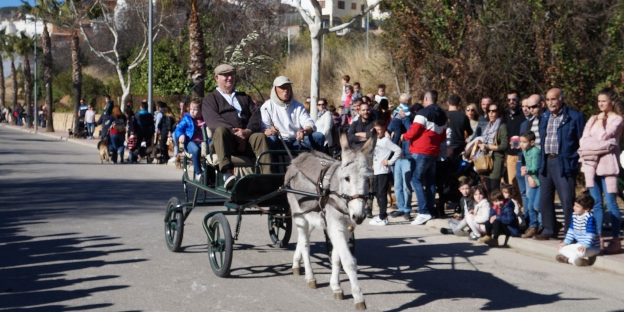  Cientos de vecinos acuden a la bendición de animales por San Antón en Buñol