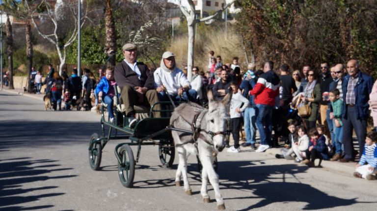 Cientos de vecinos acuden a la bendición de animales por San Antón en Buñol